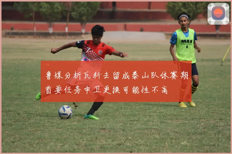 鲁媒分析瓦科去留成泰山队休赛期首要任务中卫更换可能性不高