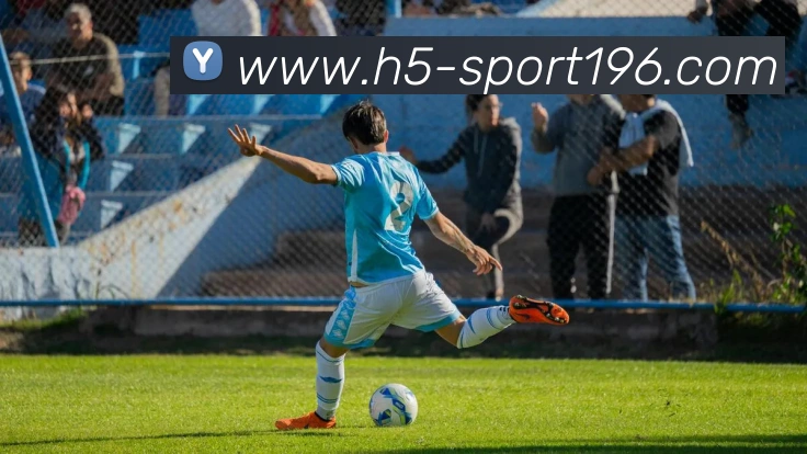 196体育平台生态图