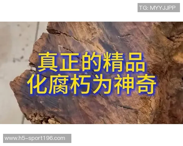 赖因德斯回忆父亲严格管教与兹沃勒踢球打工的艰辛岁月 赖因德斯回忆父亲严格管教与兹沃勒踢球打工的艰辛岁月